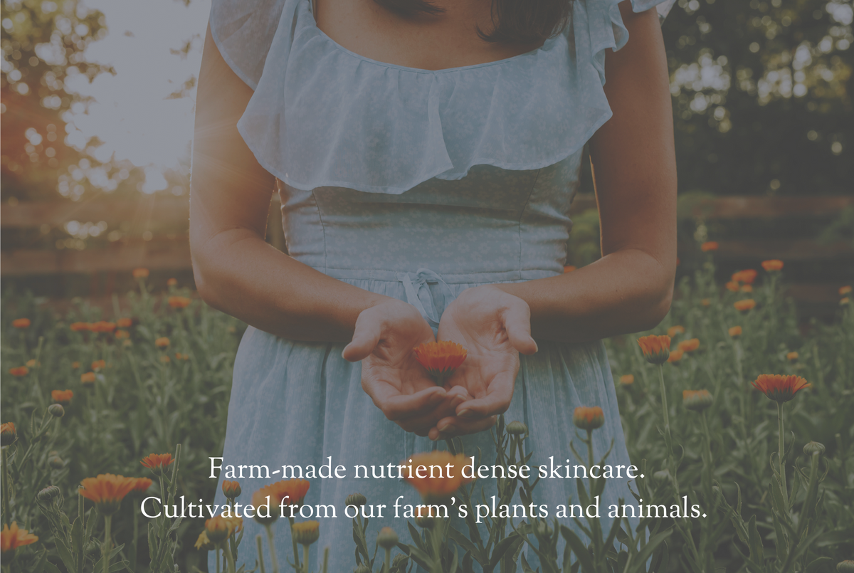 Our Farm-To-Bottle Process