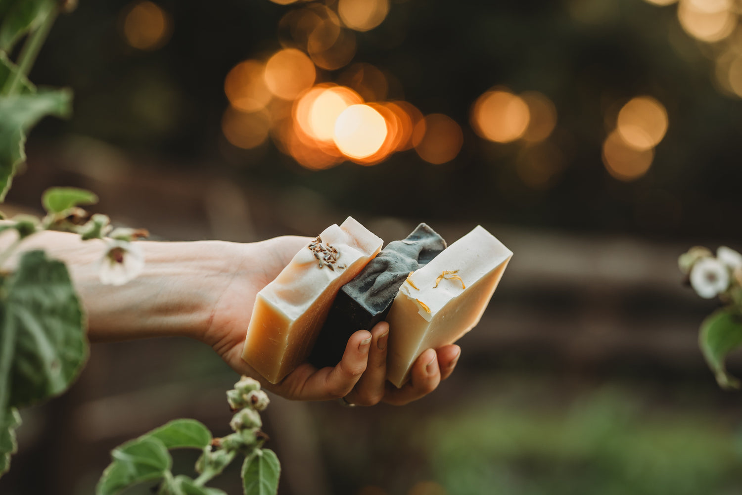 Goat's Milk Soaps
