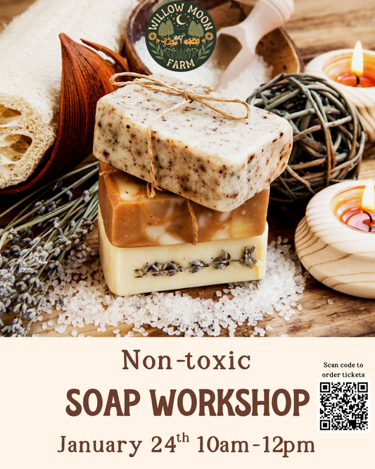 Non-toxic Soap Workshop - January 24th