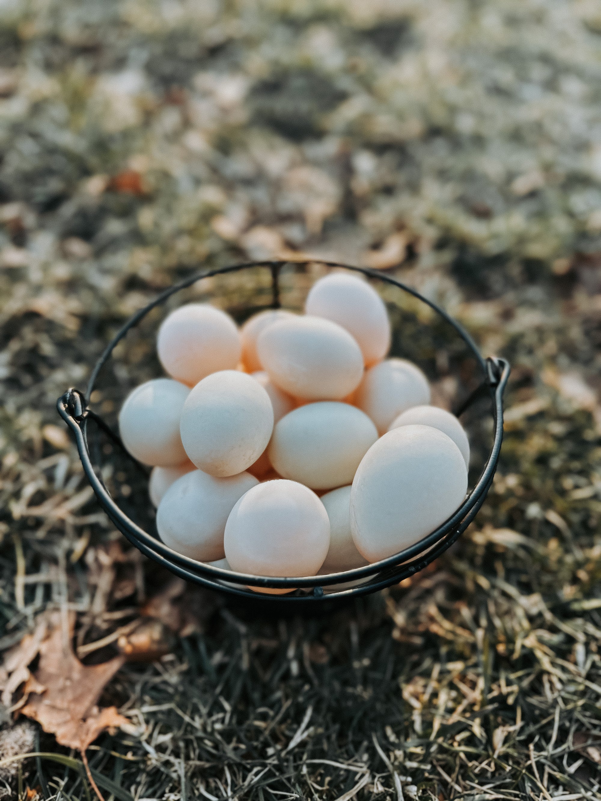 Soy-free Non-GMO Duck eggs