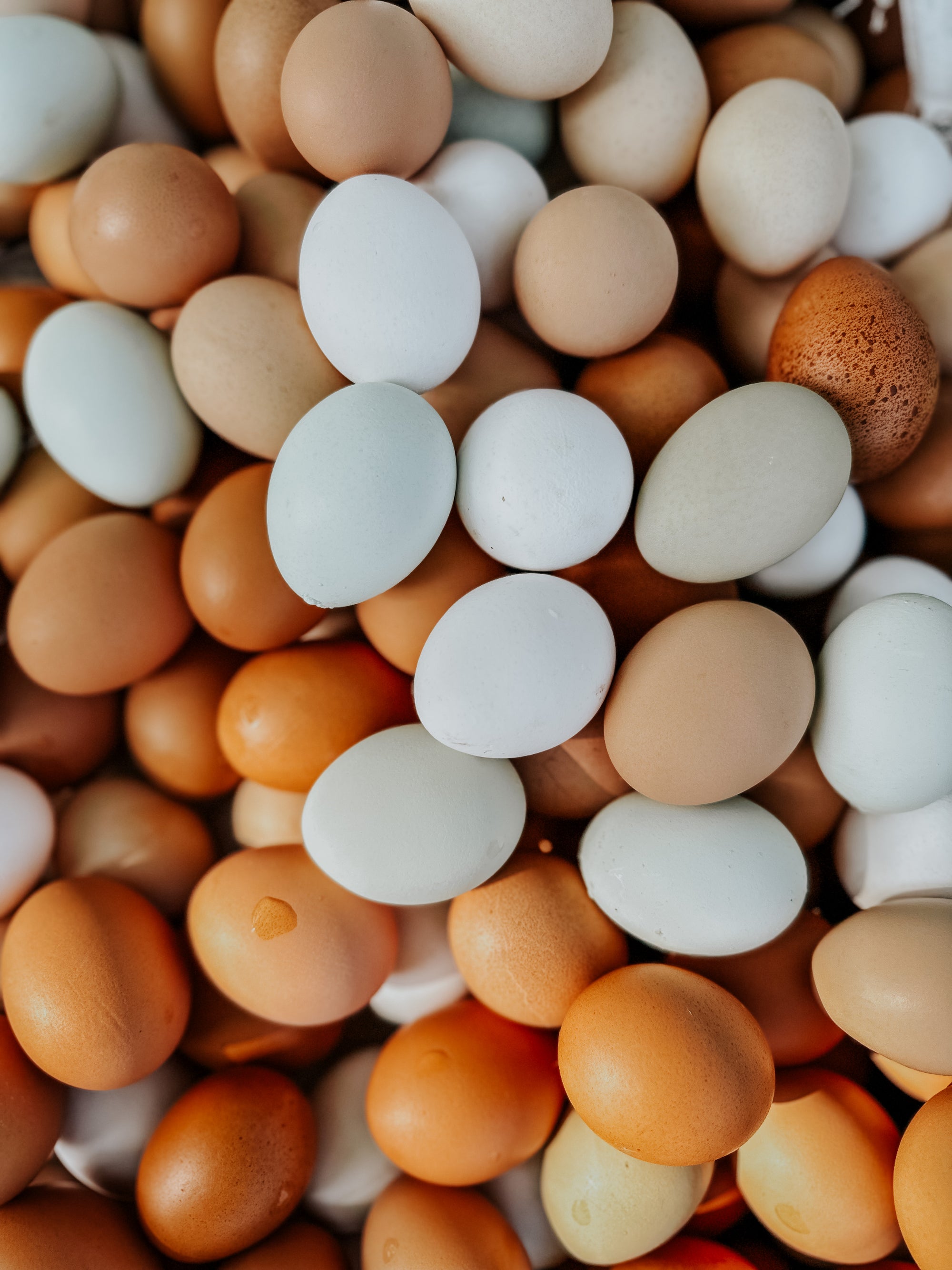 Soy-free pasture raised Chicken eggs