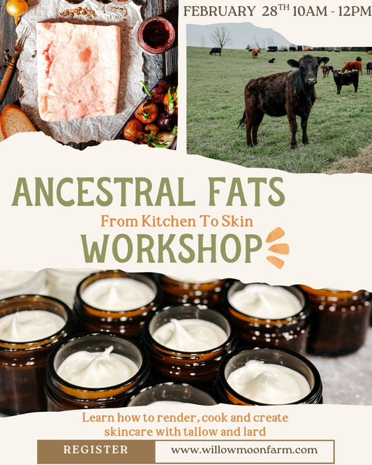 Ancestral Fats In Your Kitchen And For Your Skin Workshop