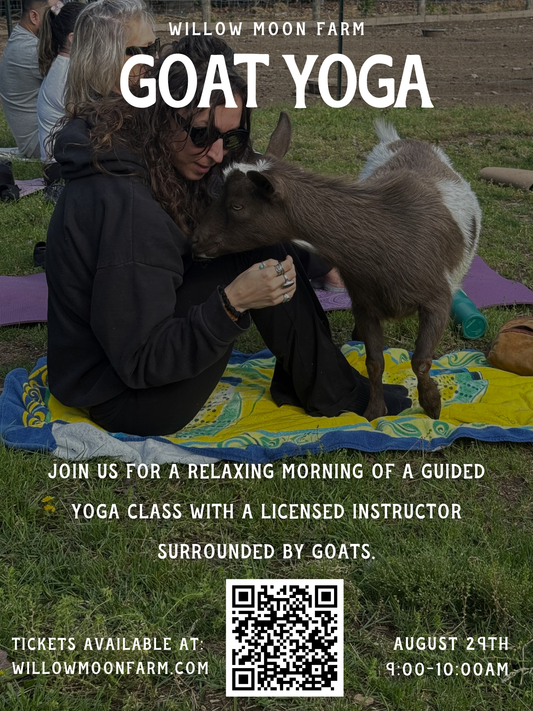 Goat Yoga