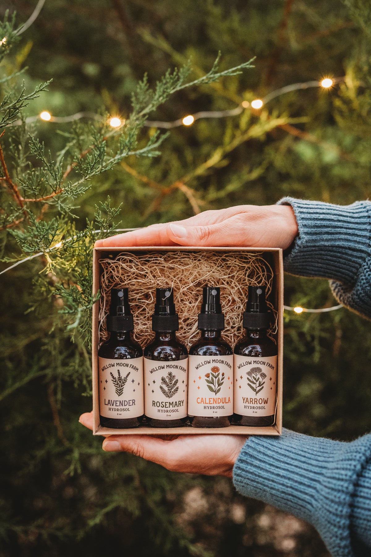 Hydrosol Collection Gift Box