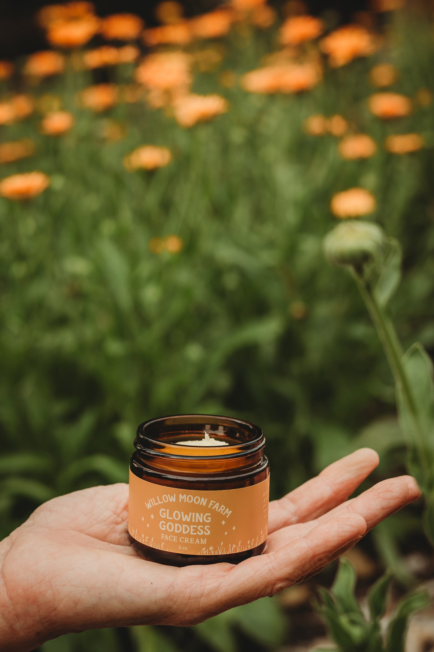 Glowing Goddess Face Cream
