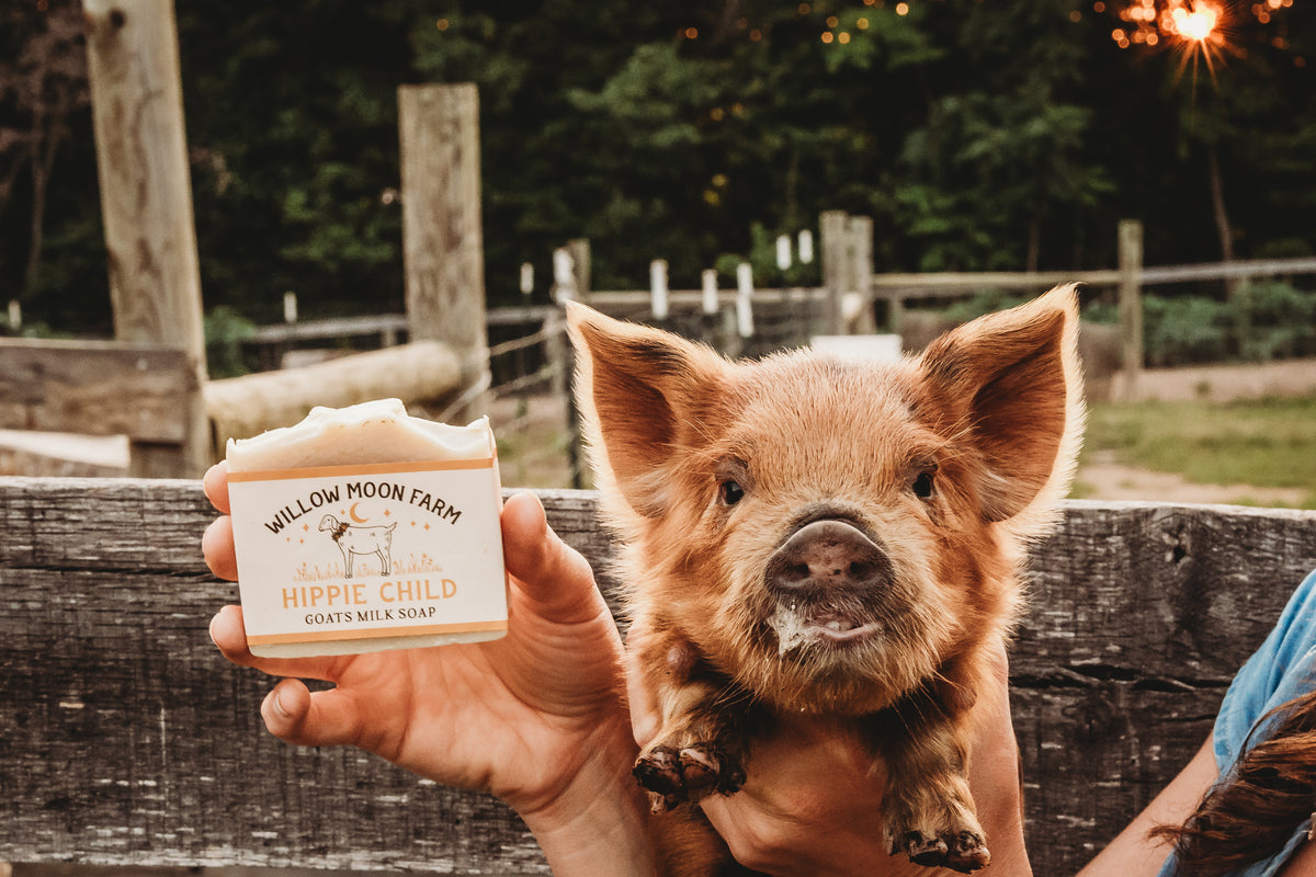 Lavender Goat's Milk Soap